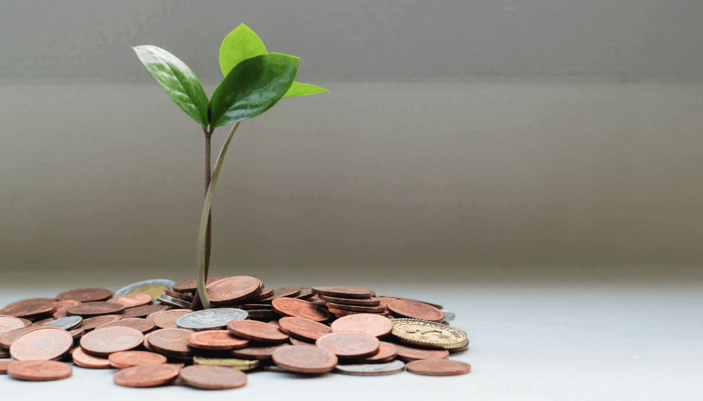 재무 AI, 예측 분석, 사기 탐지, 신용 평가, 자동 투자 관리, 재무 챗봇